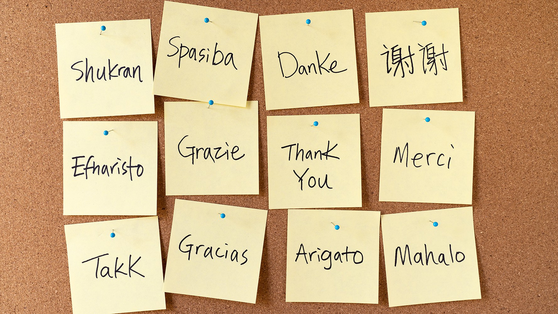 Pinnwand aus Kork mit 12 Post-Its, auf denen in verschiedenen Sprachen ‘Danke’ steht