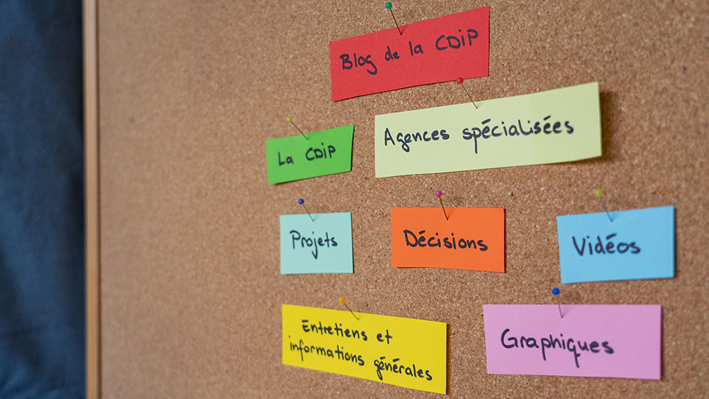 Un tableau d’affichage en liège avec des billets de différentes couleursindiquant«Blog de la CDIP», «Agences spécialisées», «Projets», «Décisions», «La CDIP», «Entretiens et informations générales», «Vidéos» et «Graphiques»